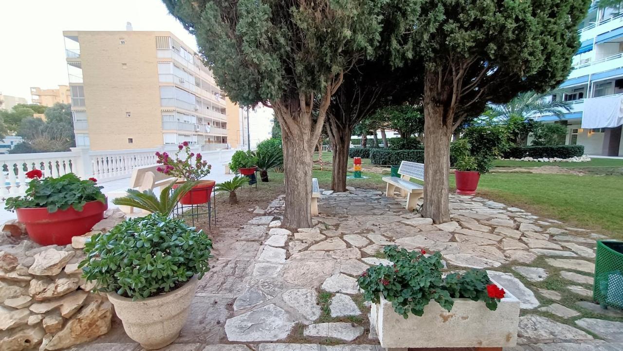Holidays At My Spanish Grandma Аликанте Экстерьер фото